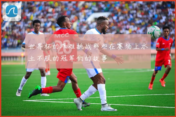 世界杯的艰难挑战那些在赛场上水土不服的冠军们的故事