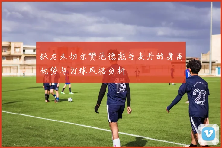 狄龙米切尔赞范德彪与麦丹的身高优势与打球风格分析