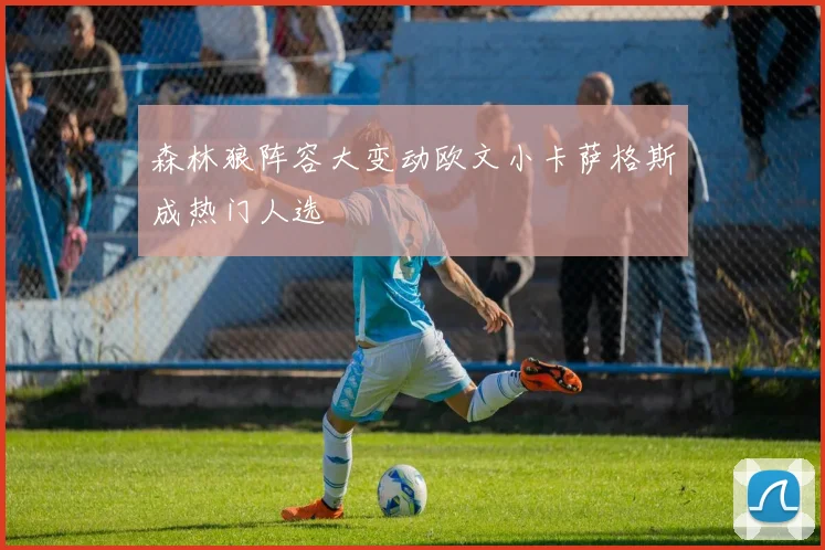 森林狼阵容大变动欧文小卡萨格斯成热门人选